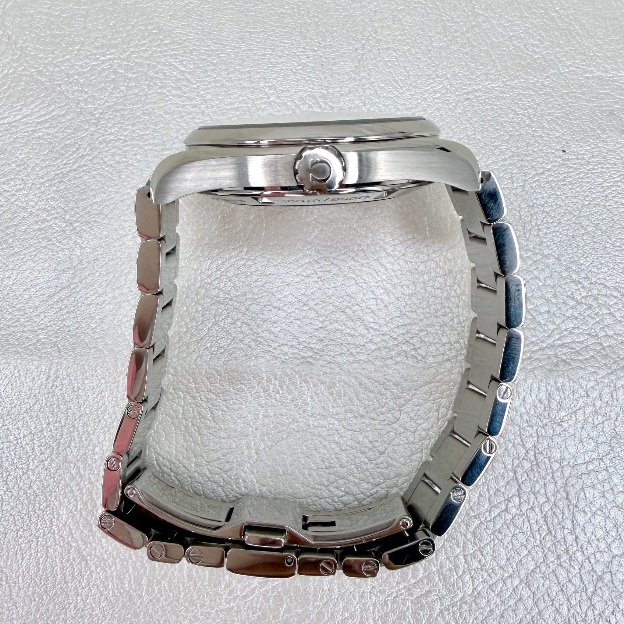 Omega Seamaster Aqua Terra (Ref. 231.10.42.21.02.001) — photo 6