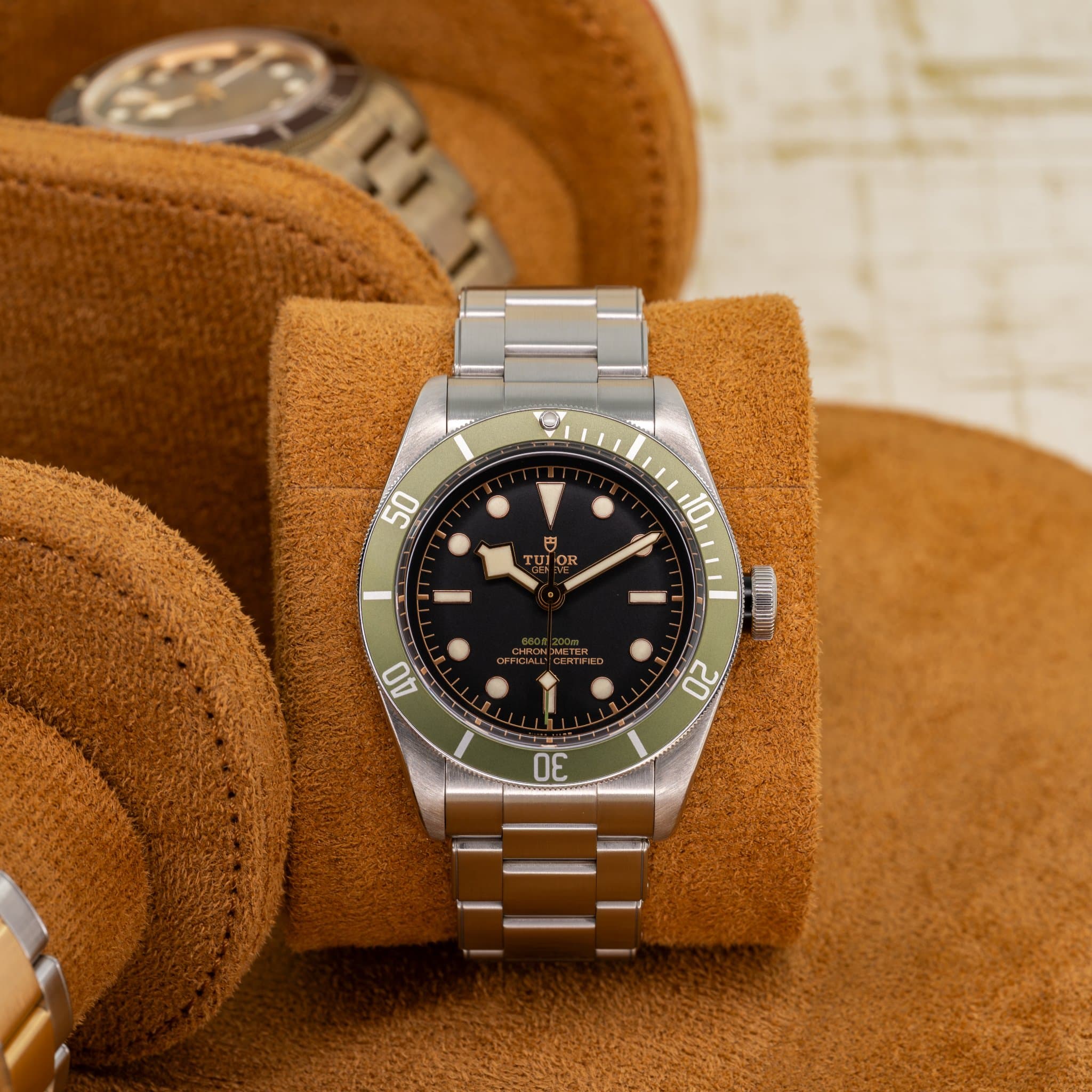 Tudor Black Bay Harrods Special Edition (Ref. M79230G-0001) — photo 15