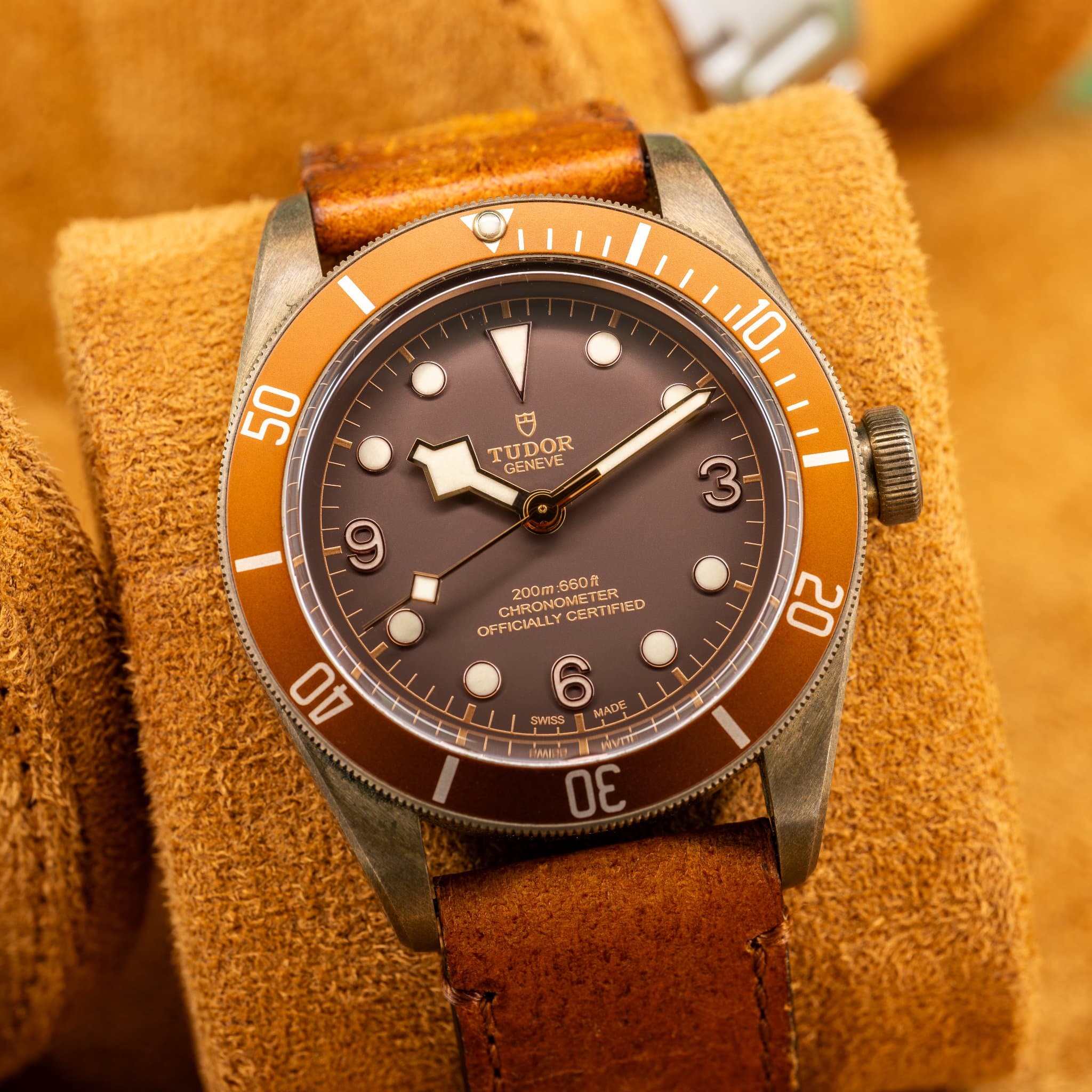 Tudor Black Bay Bronze (Ref. M79250BM-0001) — photo 14